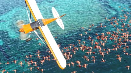 Flight Simulator 2020, Microsoft