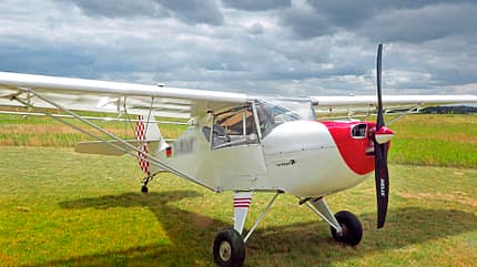 Avid Flyer