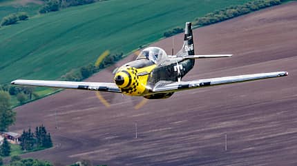 Mustang, Scale Wings Mustang