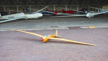 Kranich III, Kranichtreffen, Stendal