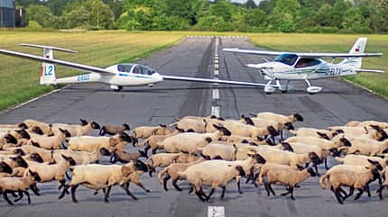 Anflüge, Flugvorbereitung, Flugplatz, Flugplatzschafe, Schafe