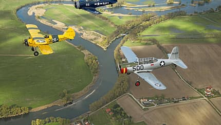 Quax: Ausmotten in Bienenfarm