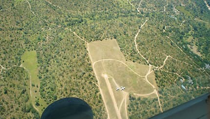 Buschfliegen in Südafrika