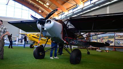 Nicht erschrecken, die Shock Cub ist da!