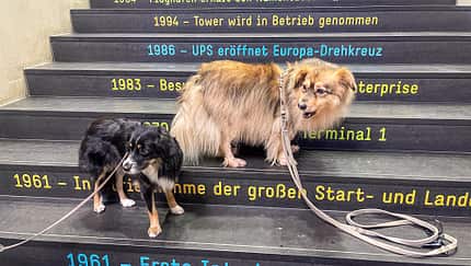 Am Kölner Flughafen finden Hunde Schutz