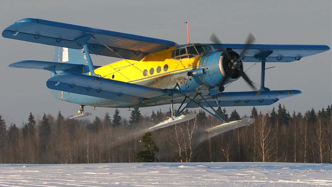 ​Comeback im Passagierdienst: Russland könnte 700 An-2-Doppeldecker reaktivieren